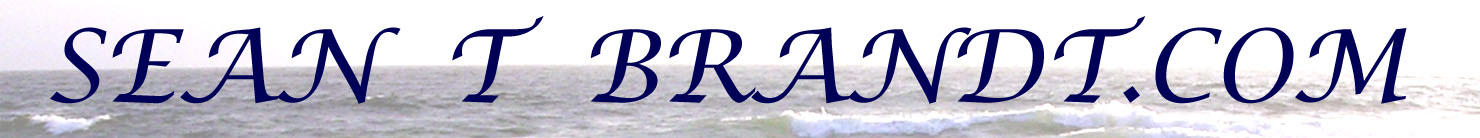 SEAN T BRANDT.COM LOGO